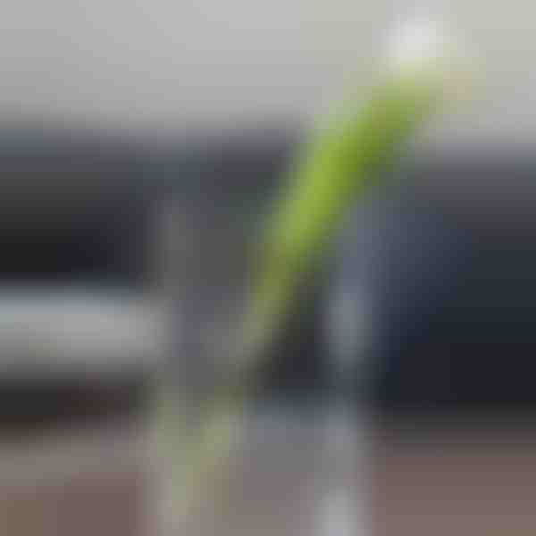 Vaso chic a forma di libro per fiori | FLOWERFRAME